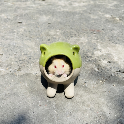 Nhà ngủ sứ chú heo có chân cho hamster