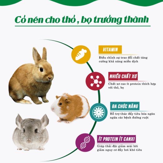 Cỏ nén timothy viên lớn cho thỏ , bọ